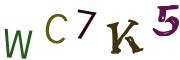 Image CAPTCHA